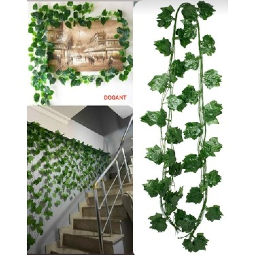 DM ZİNCİR SARMAŞIK*12*